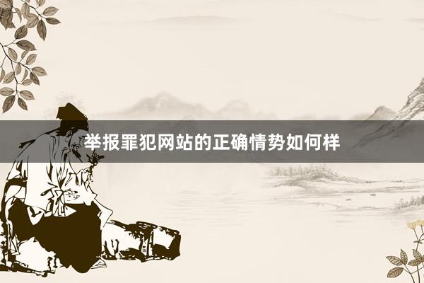 举报罪犯网站的正确情势如何样