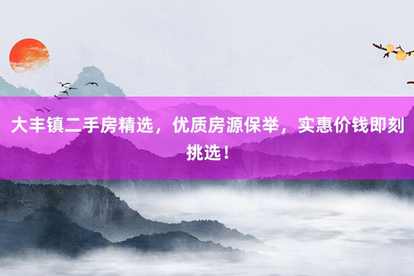 大丰镇二手房精选，优质房源保举，实惠价钱即刻挑选！