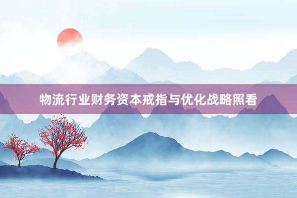 物流行业财务资本戒指与优化战略照看